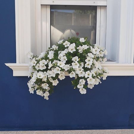 Casa Jardin Villa Monforte De Lemos Exteriör bild